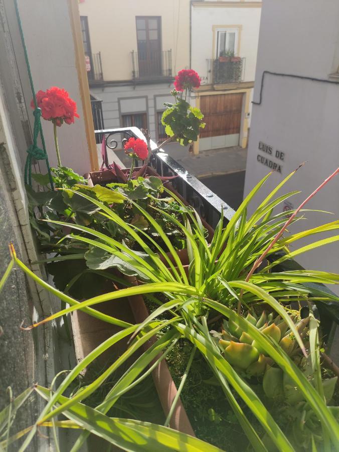 Apartament Vive Triana Sewilla Zewnętrze zdjęcie