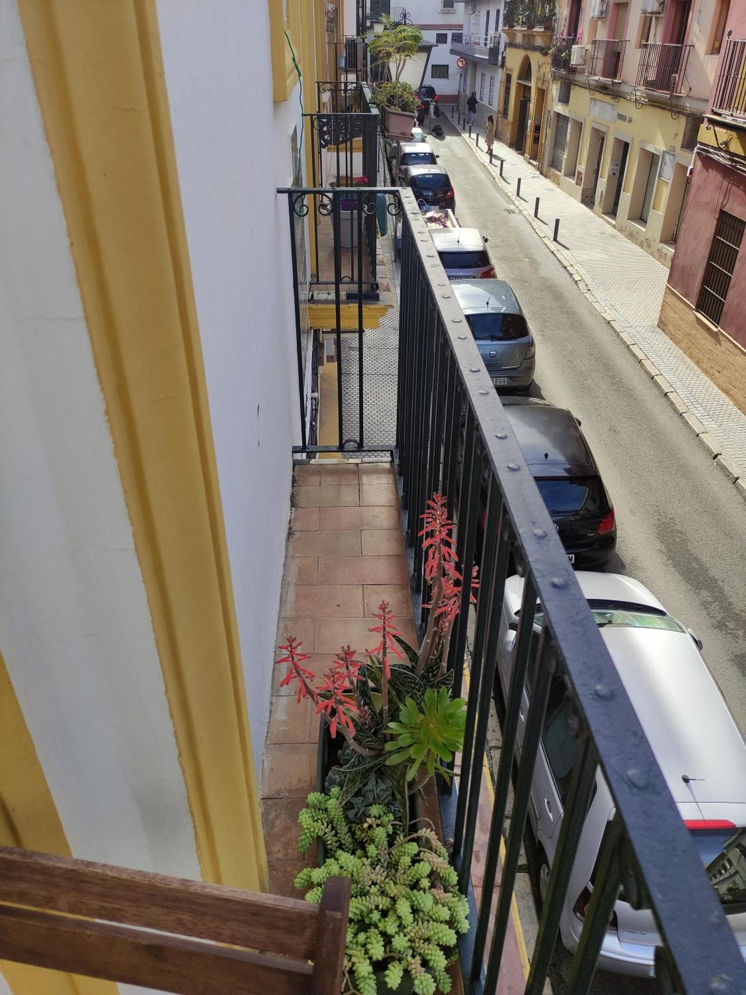 Apartament Vive Triana Sewilla Zewnętrze zdjęcie